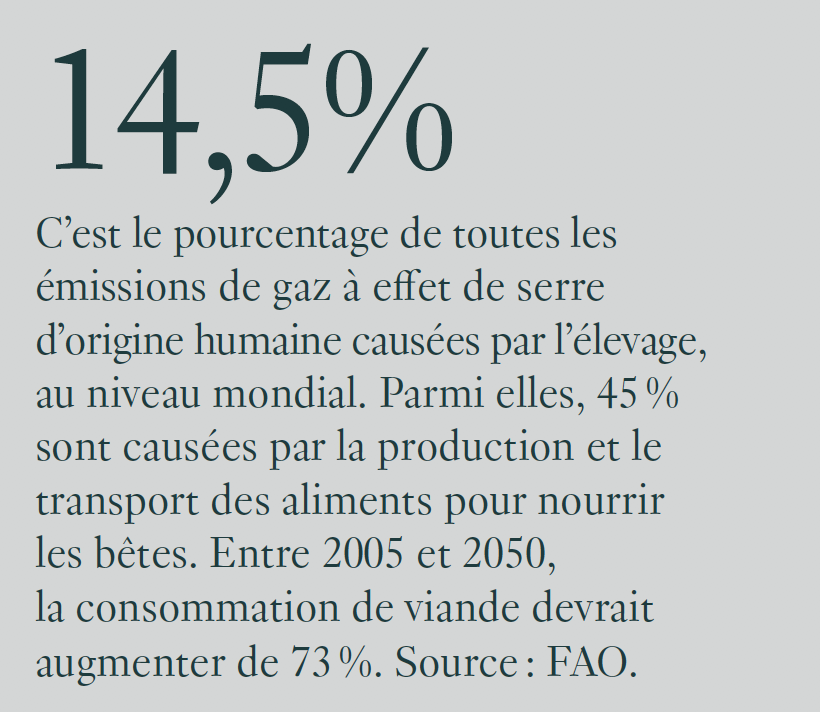 Statistiques gaz à effet de serre