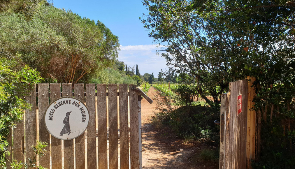 Le jardin du monastère de Lérins / ©Matthias Wirz