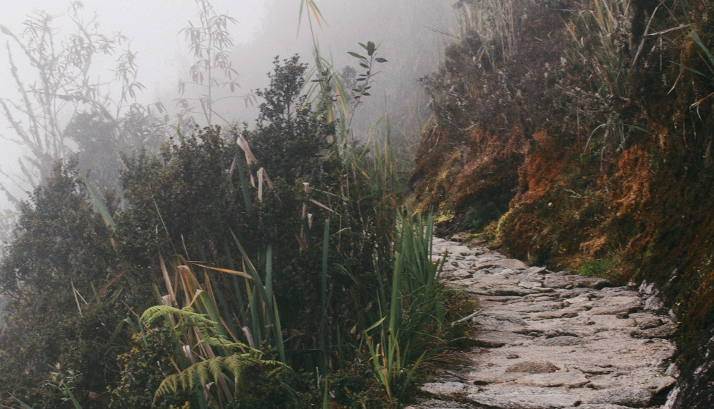 Le chemin pour se connaître n’est jamais arrêté ou limpide. / © John Salzarulo / Unsplash