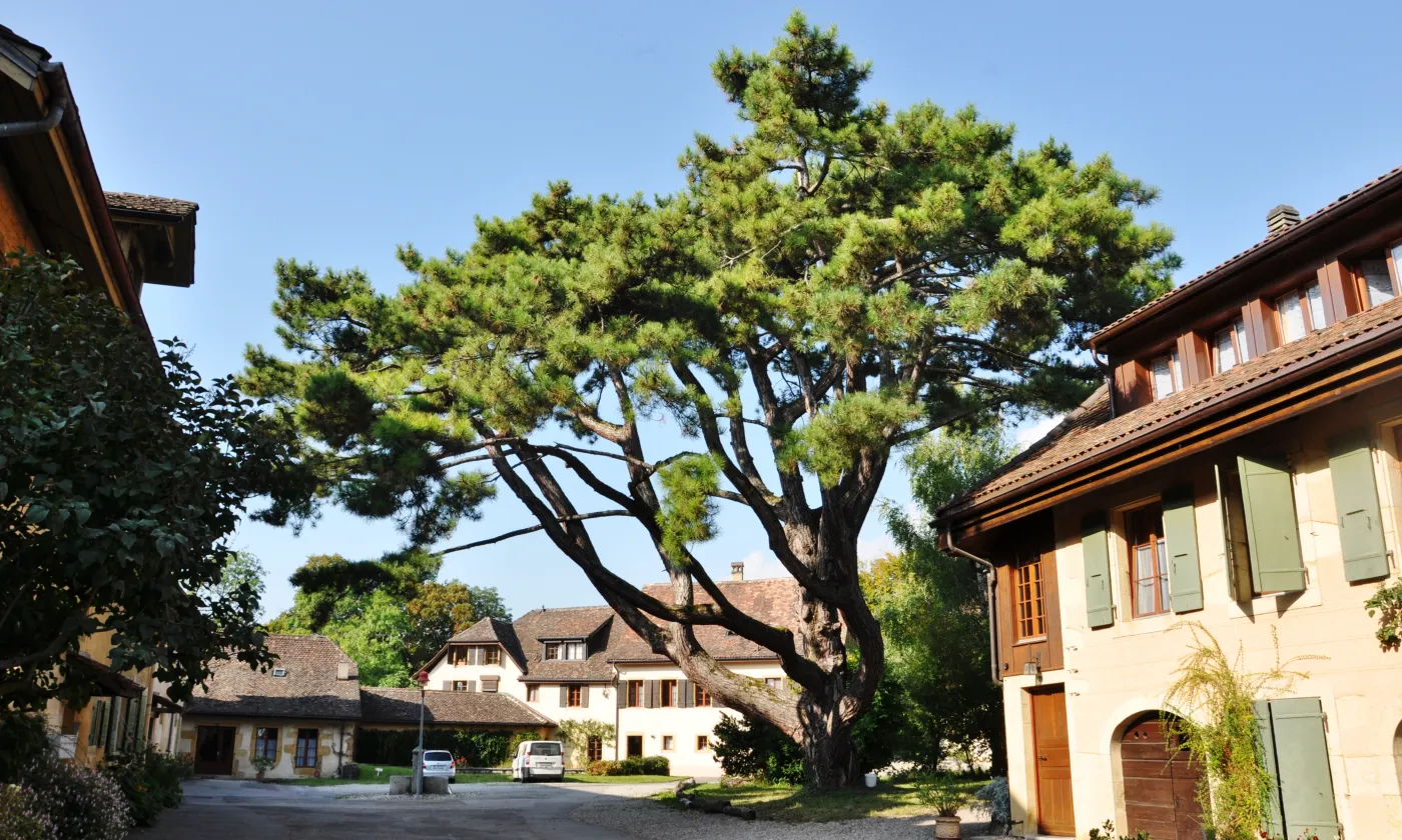 La Communauté de Grandchamp à Areuse ©Alexandra Urfer Jungen