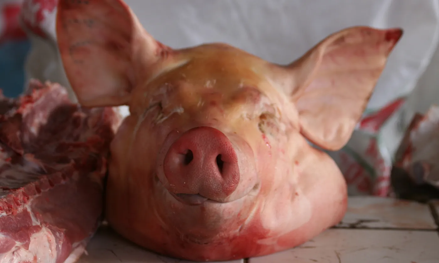 Image d'illustration Istock