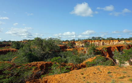 Région de Malindi, au sud-est du Kenya, où se trouve le village de Shakahola, où ont été retrouvées les victimes de la secte. / ©iStock